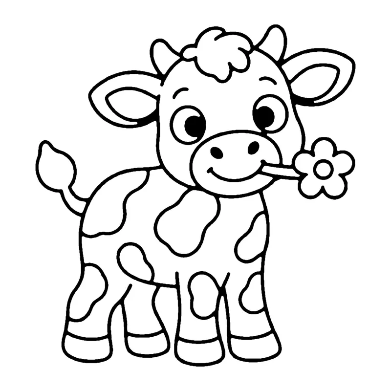Line drawing of a spotted baby cow standing with a flower in its mouth