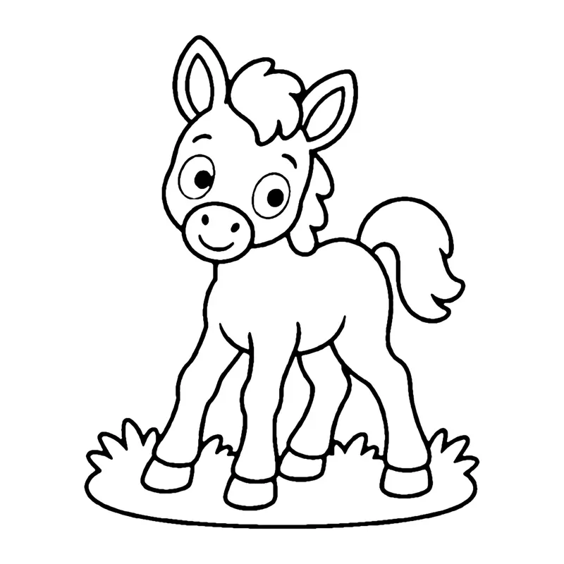 Line drawing of a young horse with a short mane and long legs standing on grass