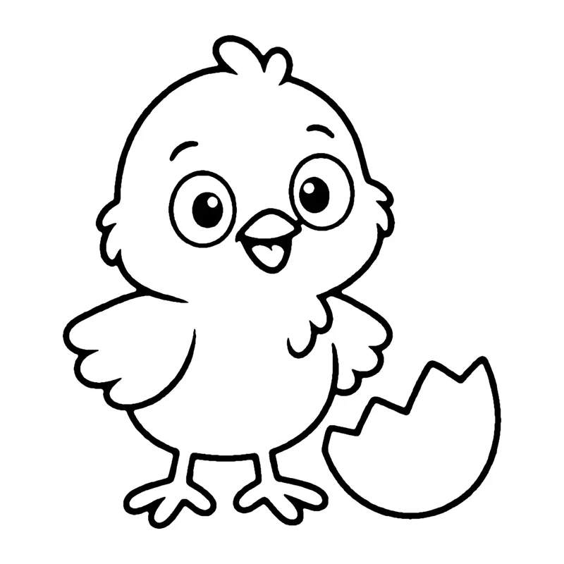 Line drawing of a fluffy baby chick standing next to a cracked eggshell
