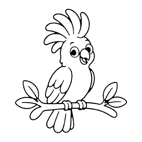 Cockatoo coloring page