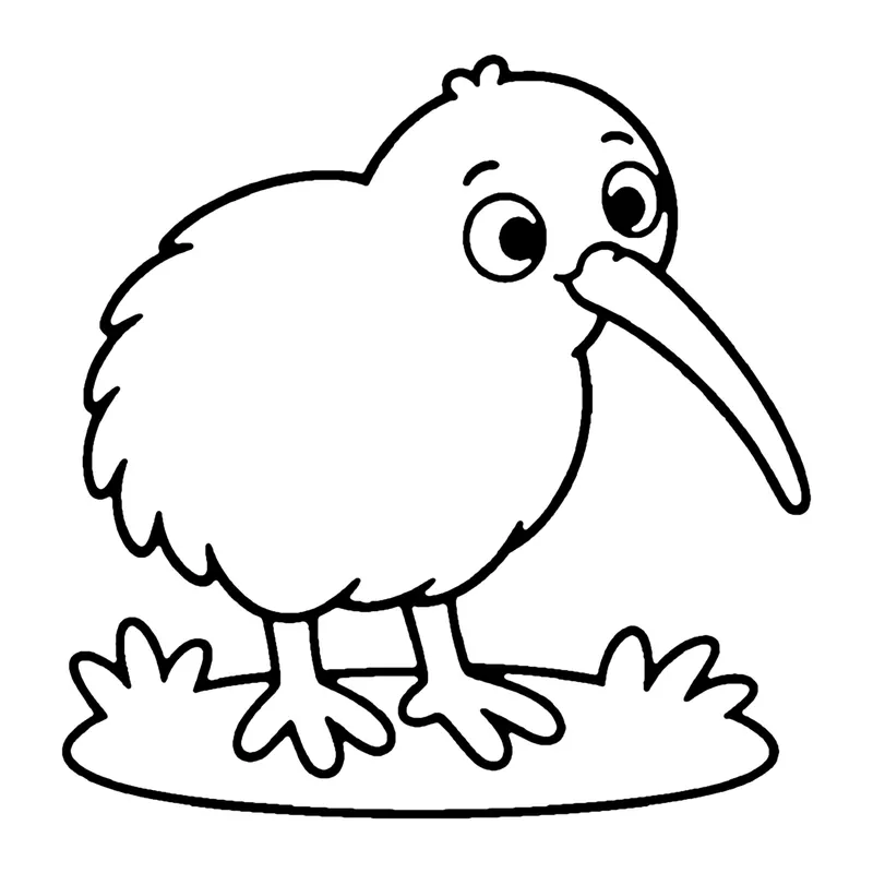Line drawing of a round, fluffy kiwi bird with a long thin beak standing on grass