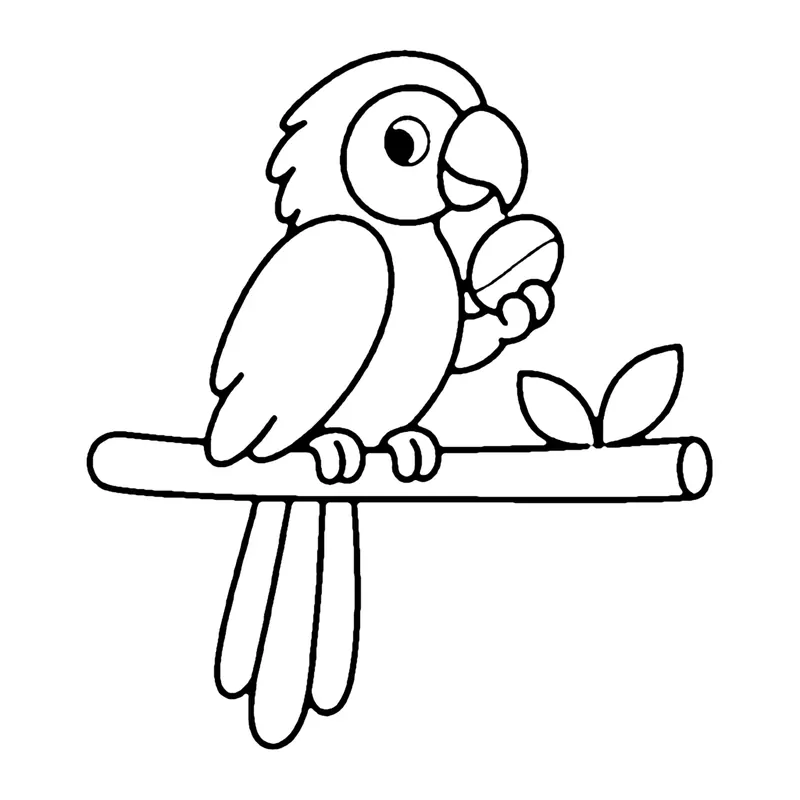 Line drawing of a macaw on a perch holding a nut in one foot, with a long tail hanging down