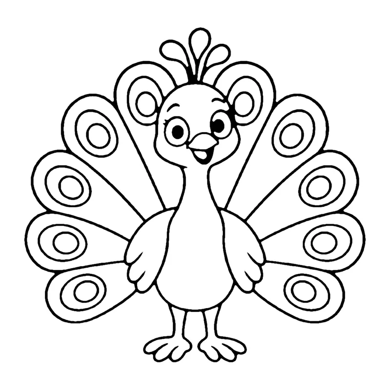 Line drawing of a peacock with its tail fanned out in a circle of eye-spot feathers