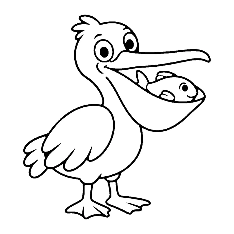 Line drawing of a pelican with a small fish peeking out of its large throat pouch