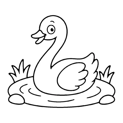 Swan coloring page
