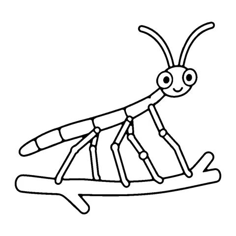 Stick Insect coloring page