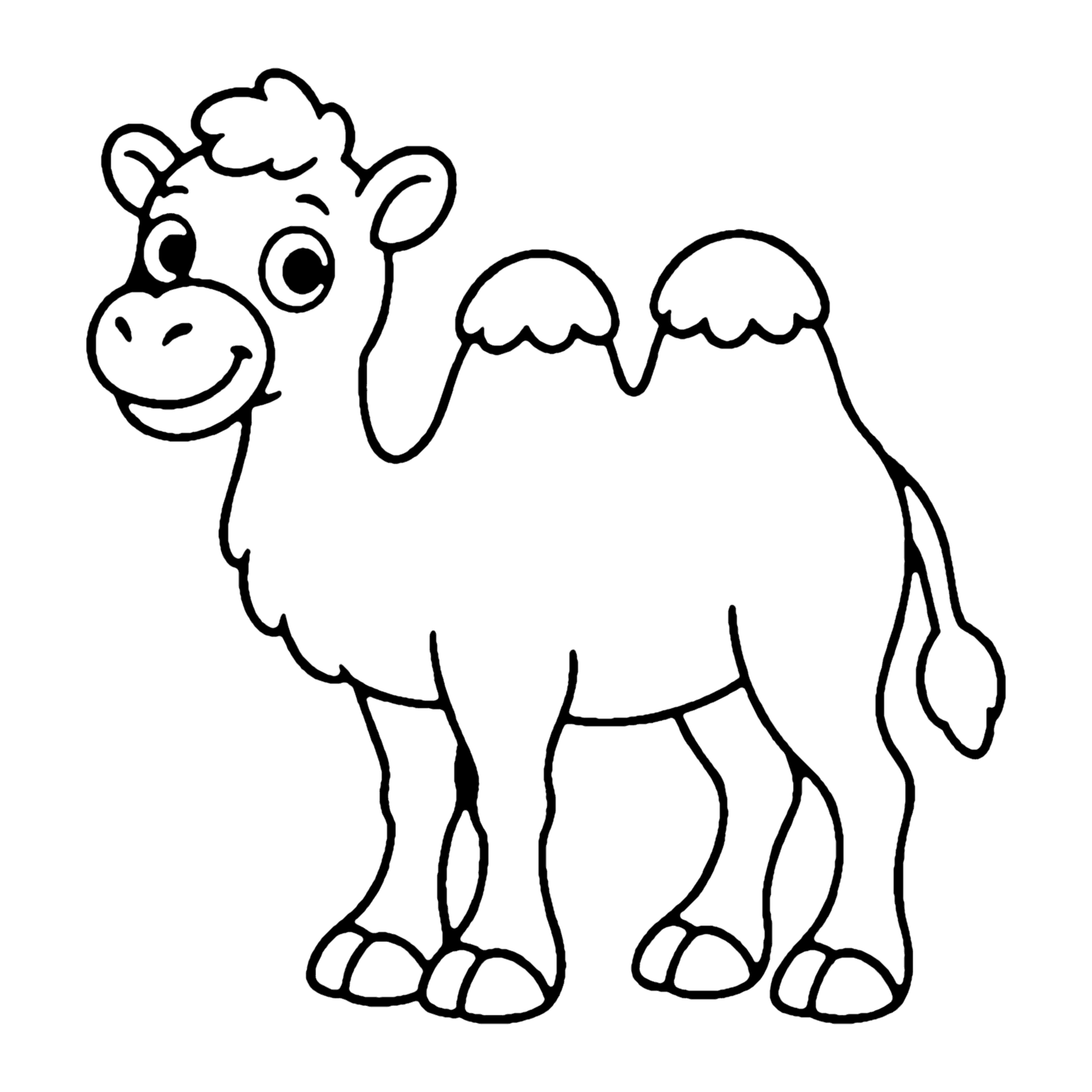 Line drawing of a smiling two-humped camel with a fluffy forelock and a tufted tail