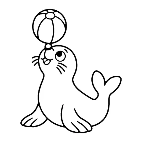 Seal with Ball coloring page