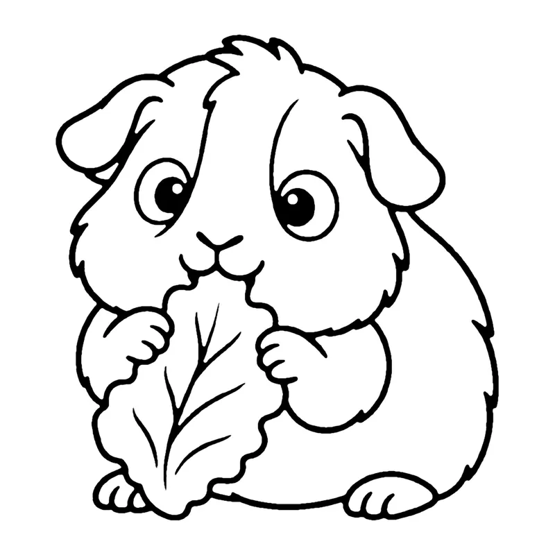 Line drawing of a fluffy guinea pig holding a big leaf of lettuce